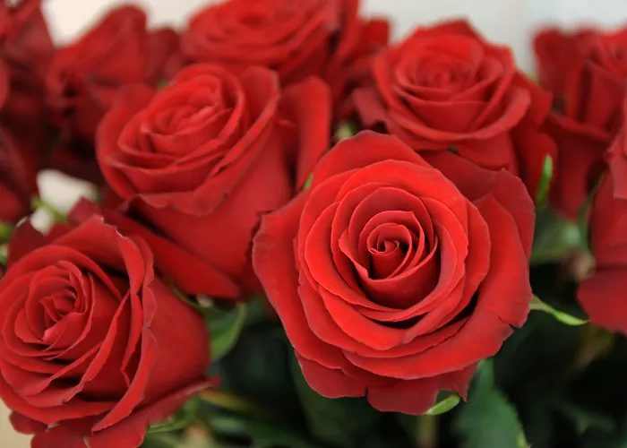 Derby - Self Check-in 3* Interlaken