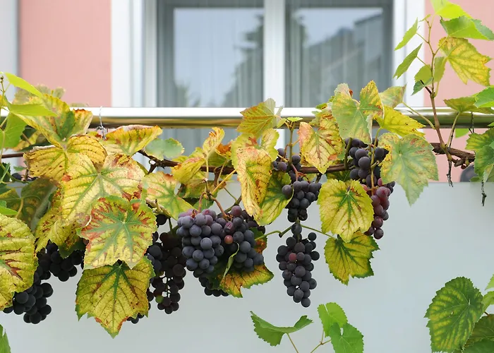 Derby - Self Check-in 3* Interlaken