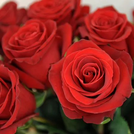 Derby - Self Check-in 3* Entrelagos